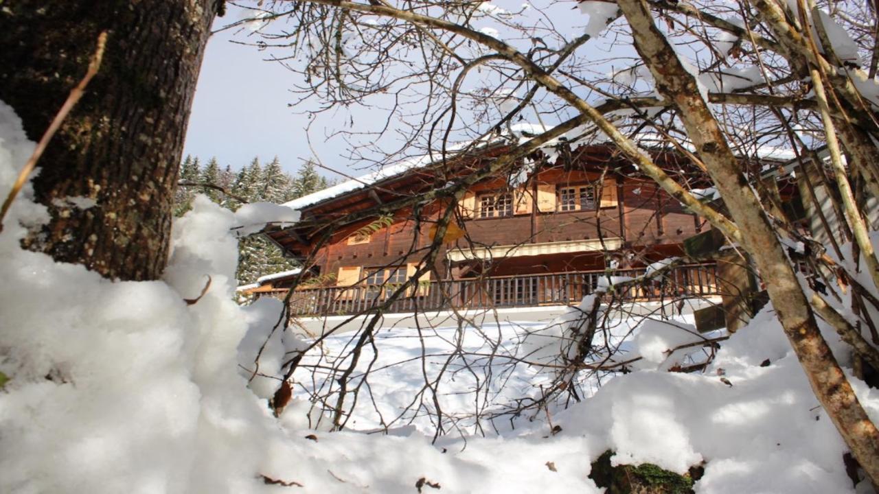 Artheis Chalet *