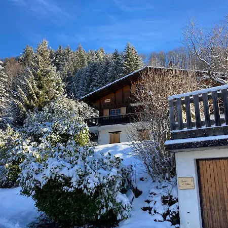 Chalet Artheis Le Grand-Bornand Extérieur photo