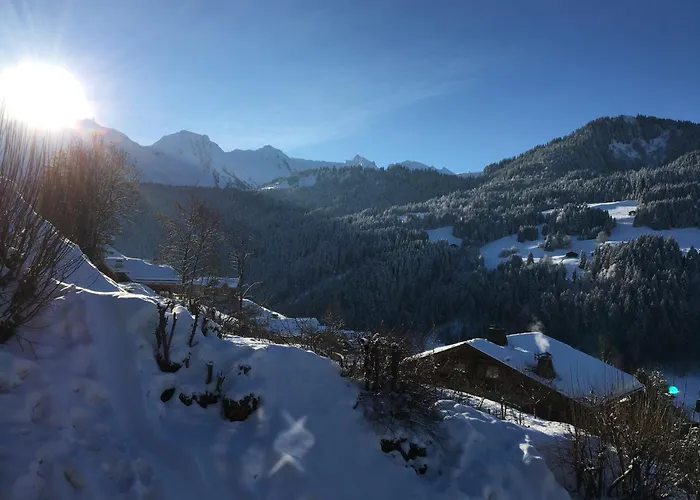 Chalet Artheis